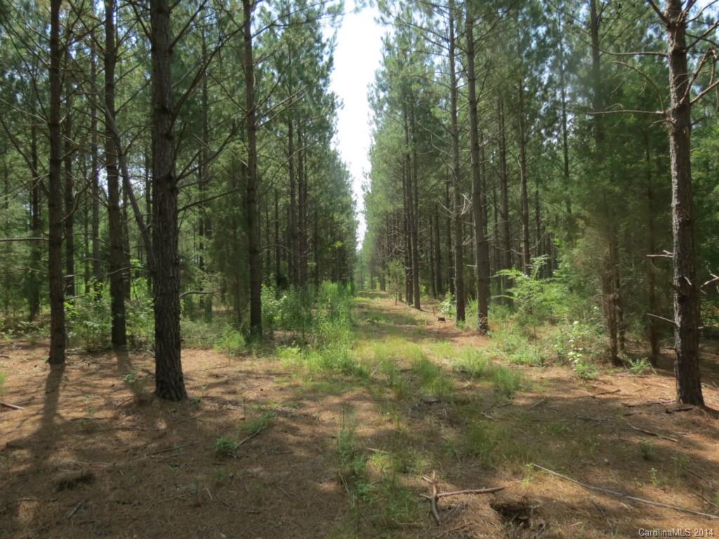 6.6-ac Strait Road Rock Hill, SC 29730 - Photo 1 of 21 Gallery Image 1