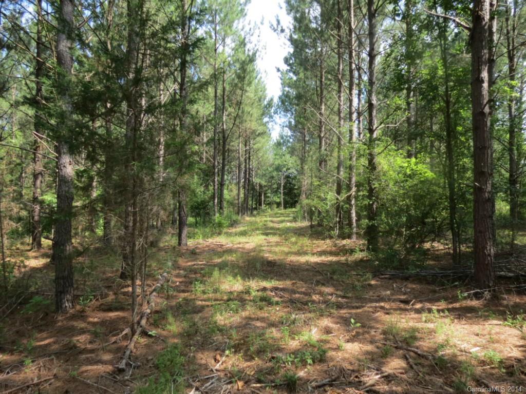 6.6-ac Strait Road Rock Hill, SC 29730 - Photo 2 of 21 Gallery Image 2