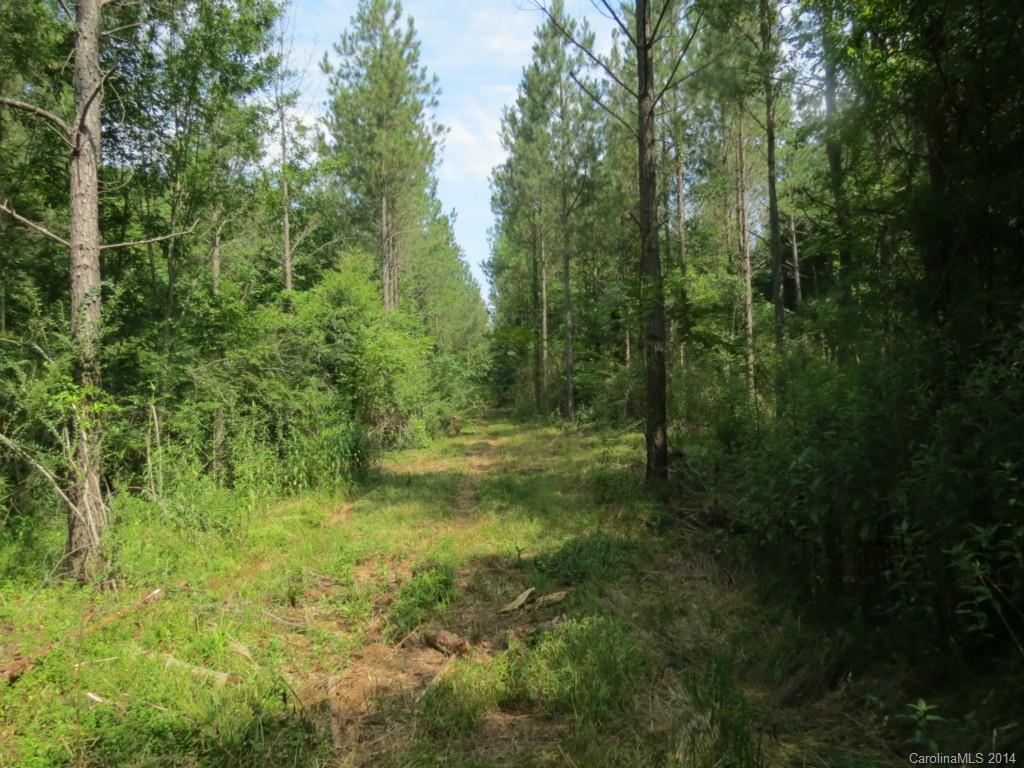 6.6-ac Strait Road Rock Hill, SC 29730 - Photo 13 of 21 Gallery Image 13