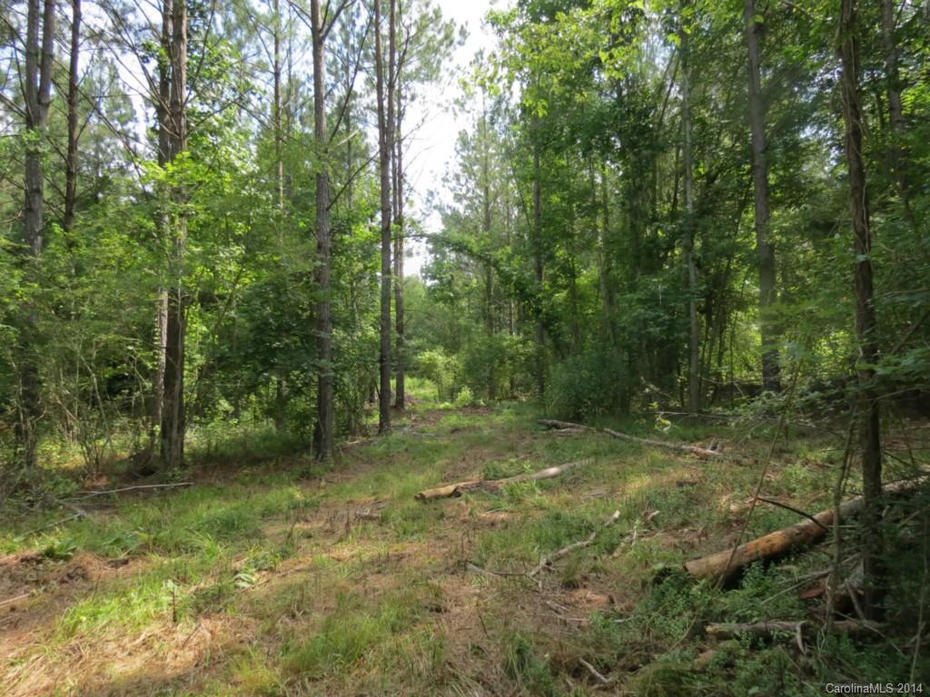6.6-ac Strait Road Rock Hill, SC 29730 - Photo 14 of 21 Gallery Image 14