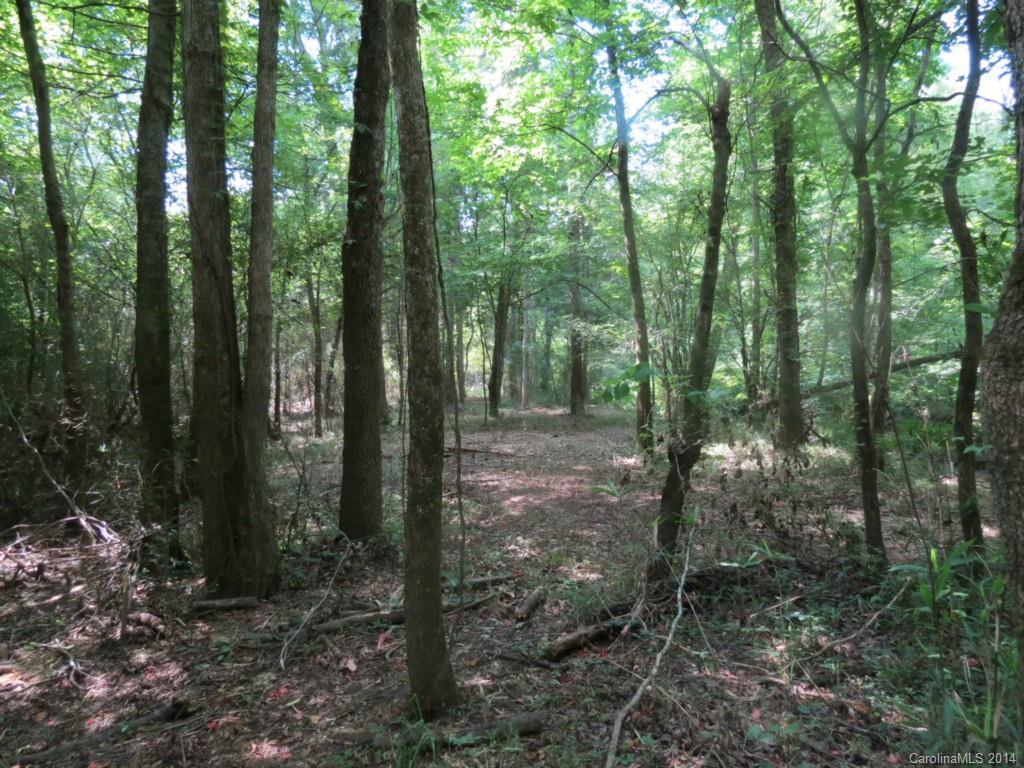 6.6-ac Strait Road Rock Hill, SC 29730 - Photo 17 of 21 Gallery Image 17