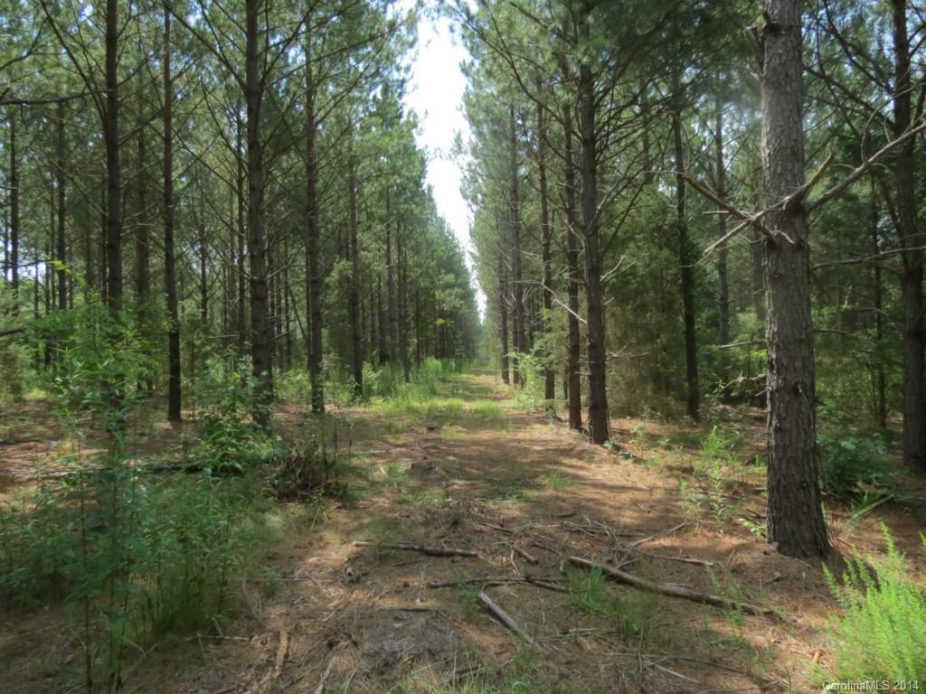 6.6-ac Strait Road Rock Hill, SC 29730 - Photo 20 of 21 Gallery Image 20