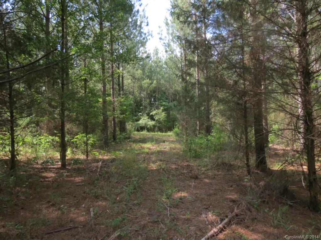 6.6-ac Strait Road Rock Hill, SC 29730 - Photo 3 of 21 Gallery Image 3