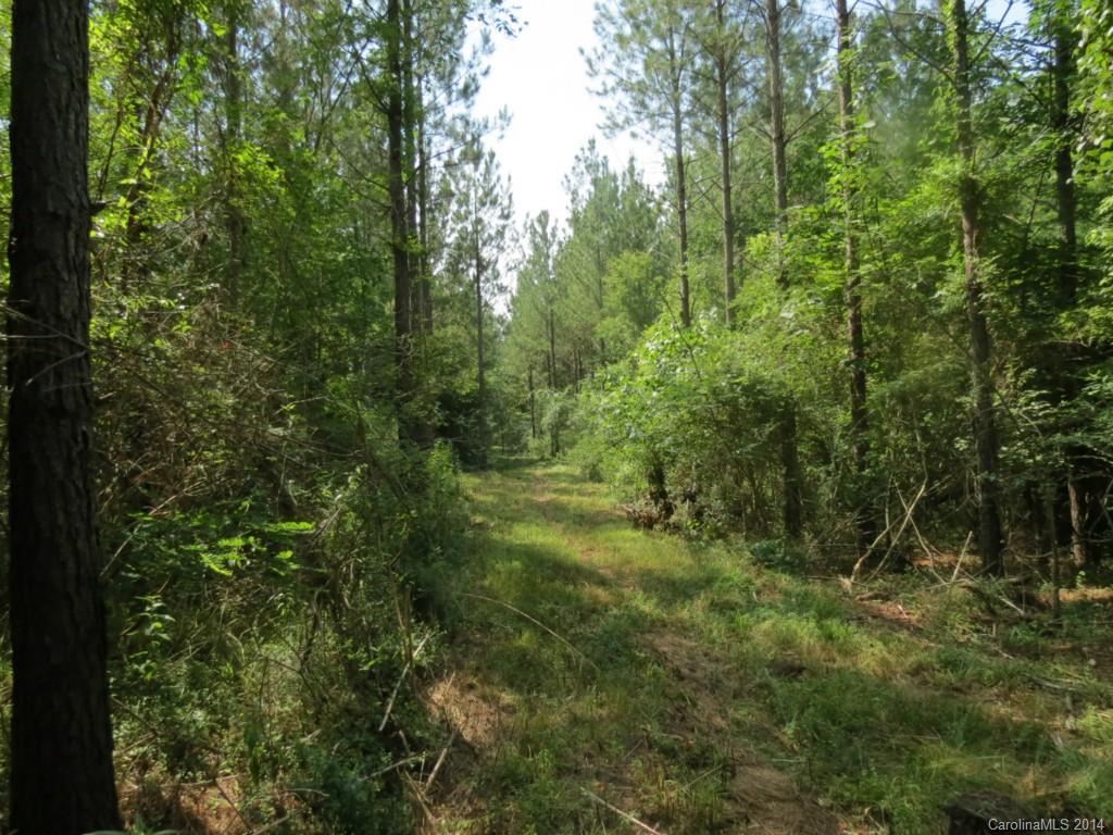 6.6-ac Strait Road Rock Hill, SC 29730 - Photo 5 of 21 Gallery Image 5