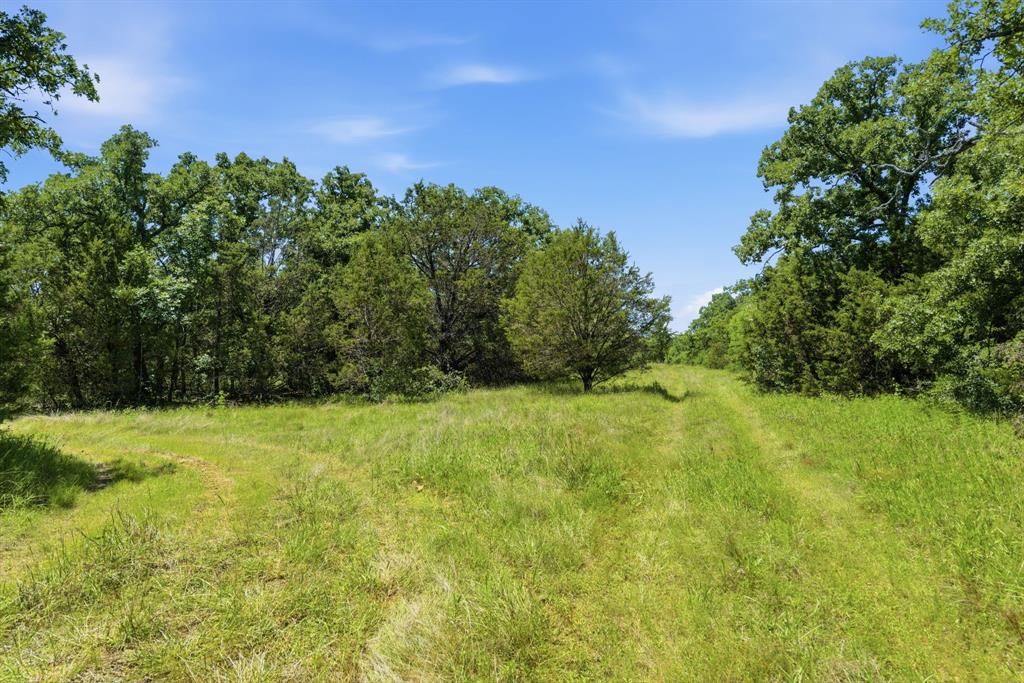 4320 Dobbs Valley Road Millsap, TX 76066 - Photo 5 of 40 a view of a yard with a tree