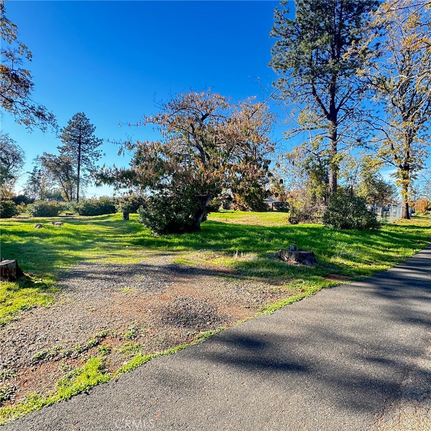 5133 Foster Road Paradise, CA 95969 - Photo 10 of 13 a view of a park