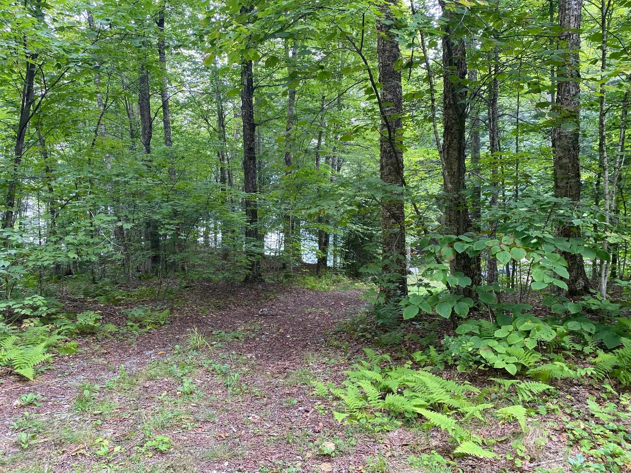 912 Bailey Bridge Road Woodbury, VT 05681 - Photo 6 of 11