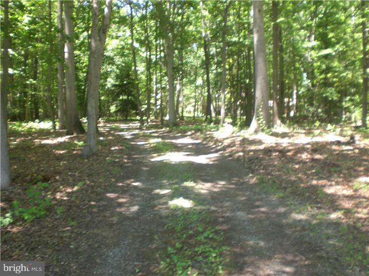 89 Oechsle Road Woodstown, NJ 08098 - Photo 3 of 24 Driveway