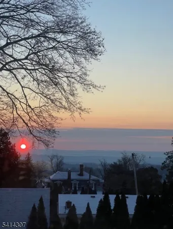 a view of a yard with a large tree