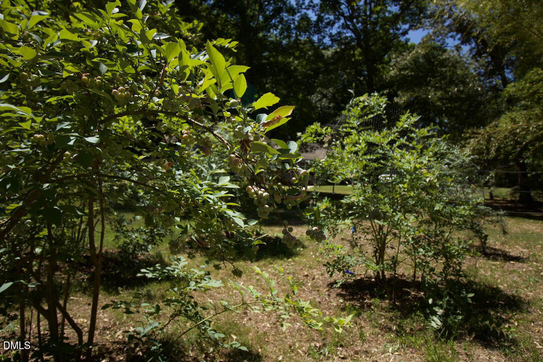 946 Cooke Road Louisburg, NC 27549 - Photo 46 of 46