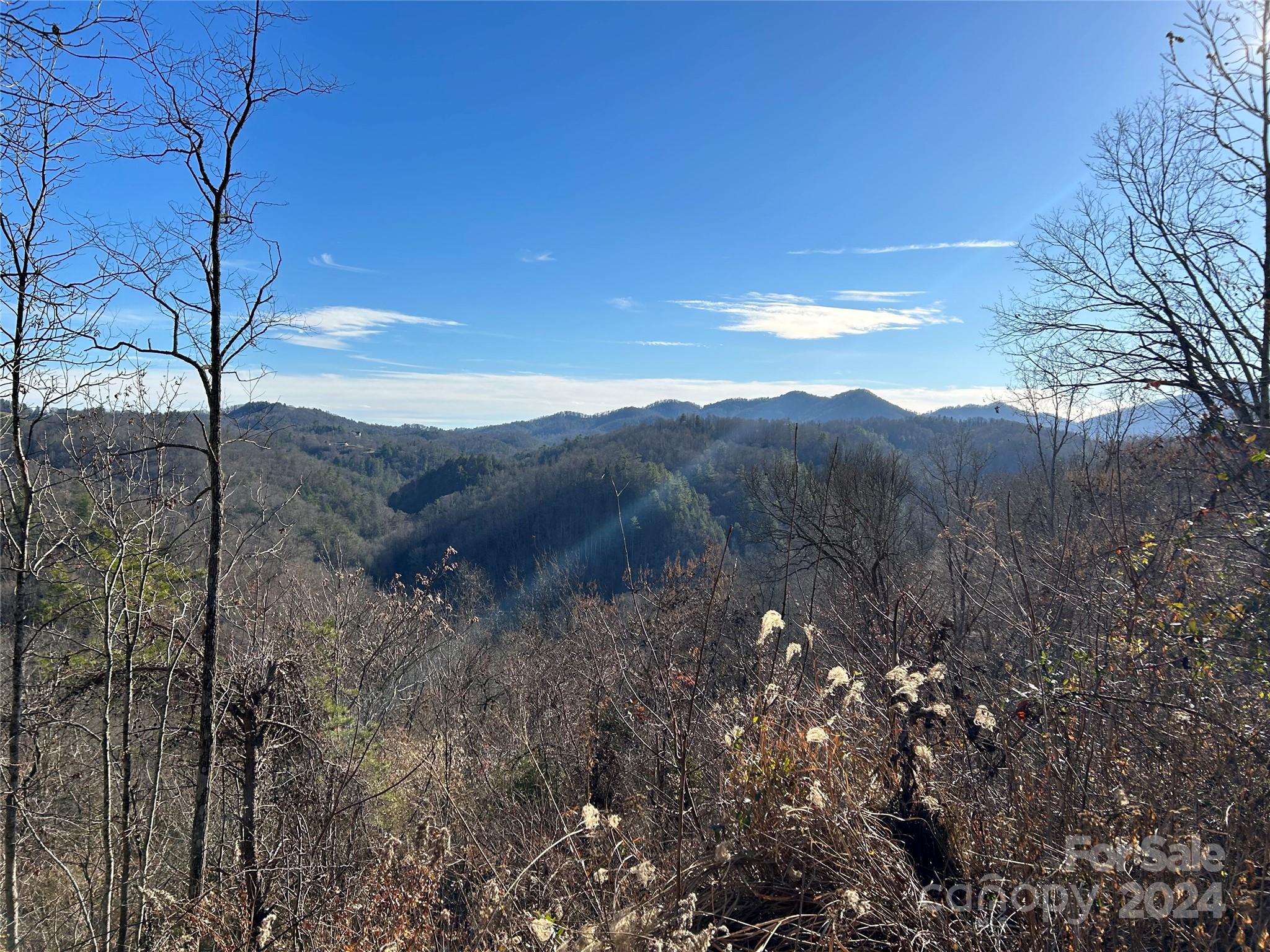 1380 Little Pine Road Marshall, NC 28753 - Photo 1 of 12 a view of a tree with a yard