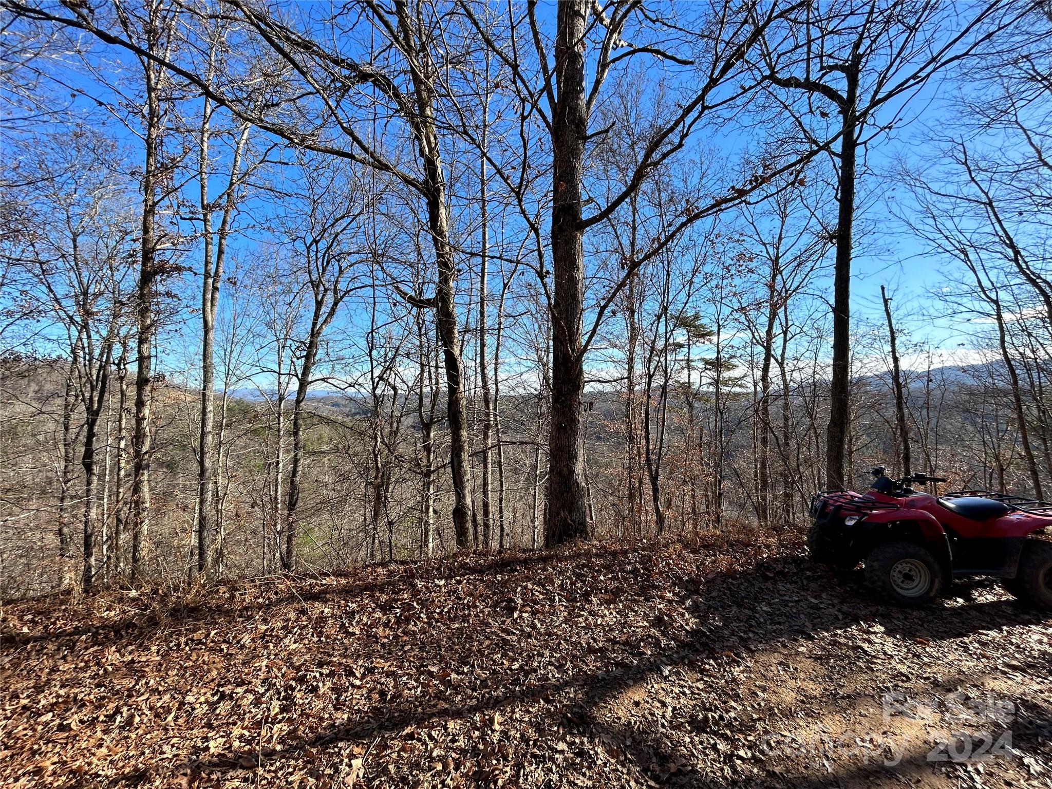 1380 Little Pine Road Marshall, NC 28753 - Photo 11 of 12 a view of a backyard with large trees