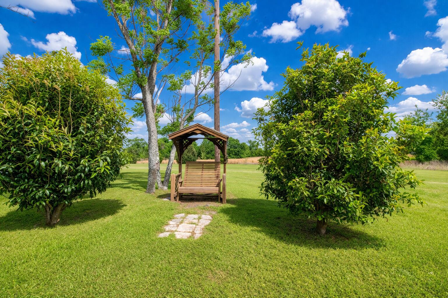 2082 Green Pond Road Aiken, SC 29803 - Photo 17 of 20 Swing!