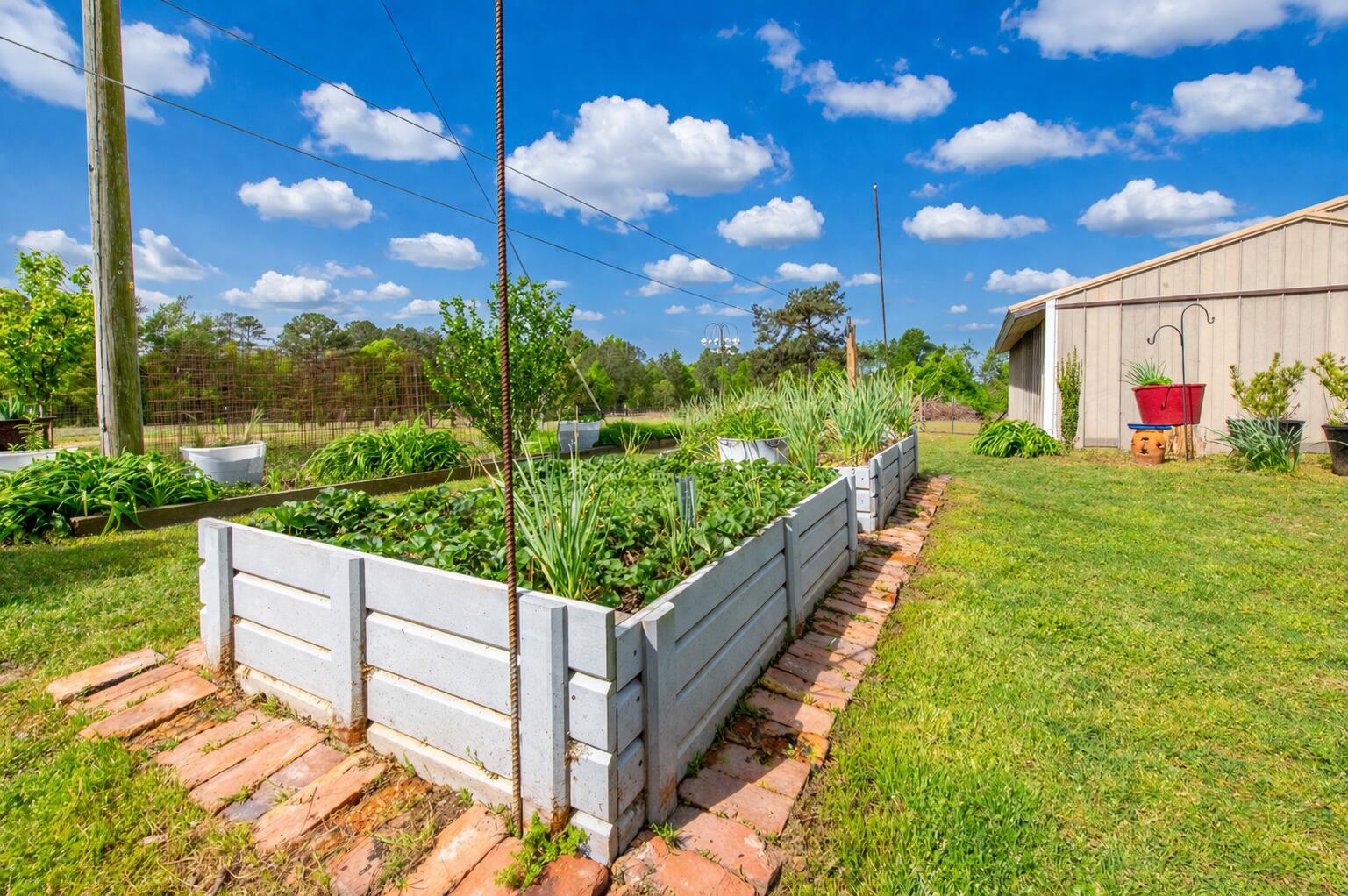 2082 Green Pond Road Aiken, SC 29803 - Photo 3 of 20 Garden!