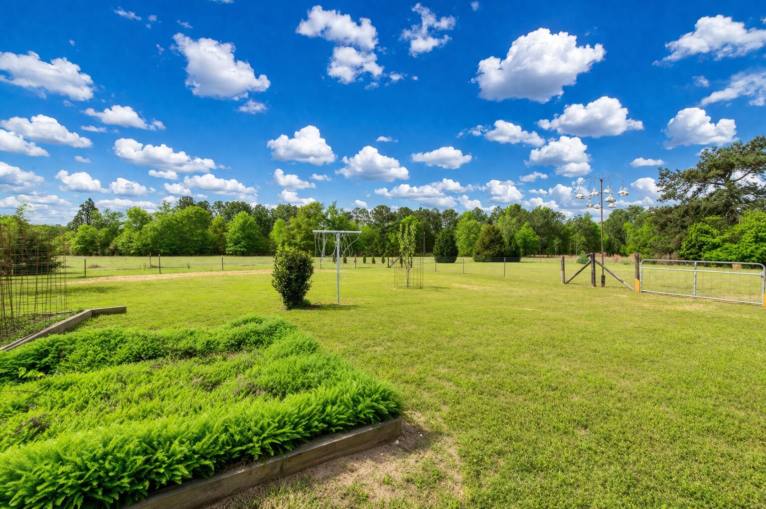 2082 Green Pond Road Aiken, SC 29803 - Photo 4 of 20 Various Fruit Trees!