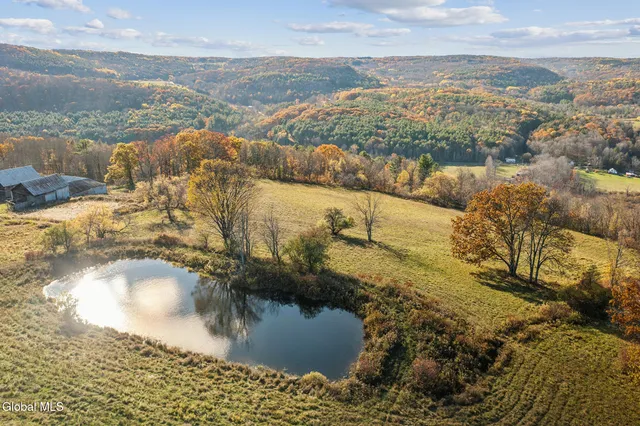 $599,900 | 197 Earls Road, Broome, NY 12122