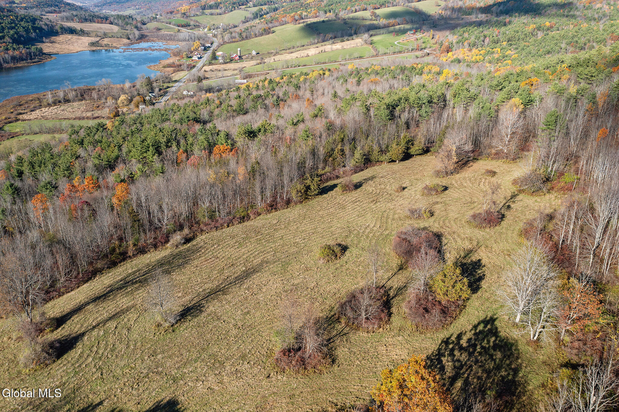 197 Earls Road Broome, NY 12122 - Photo 30 of 30 FS_LT_102825_0184