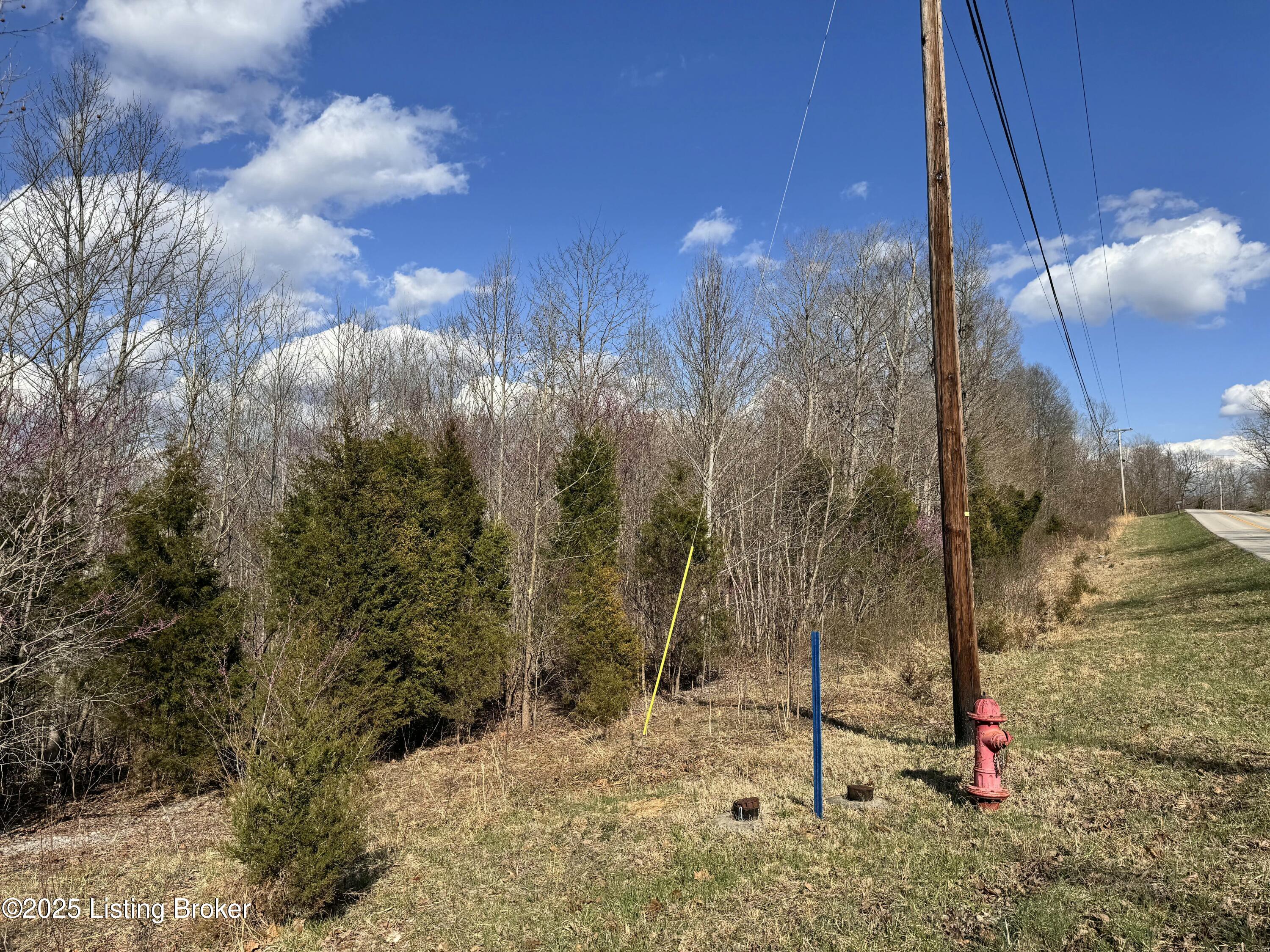 0 Cedar Flats Road Battletown, KY 40104 - Photo 3 of 7 tempImageOxwFkn