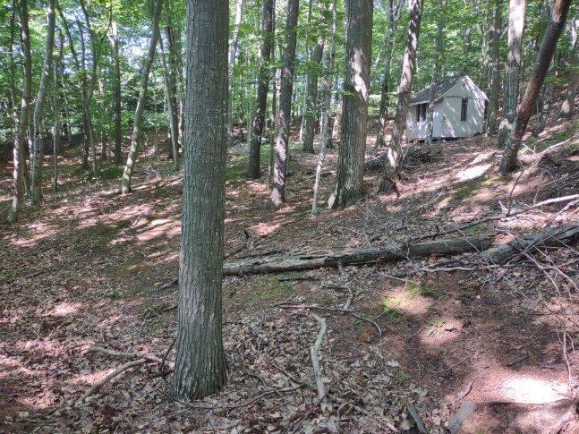 4 Lost Valley Road Montague, MI 49437 - Photo 13 of 36 F3BAED21-466E-4FAA-A2D8-FBBCF4DBD65A