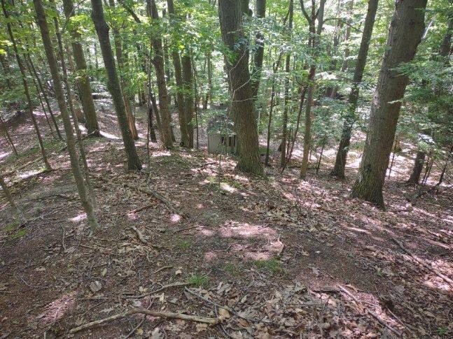 4 Lost Valley Road Montague, MI 49437 - Photo 14 of 36 1E7F7EBE-ADF6-4458-BA94-95C915CD1112