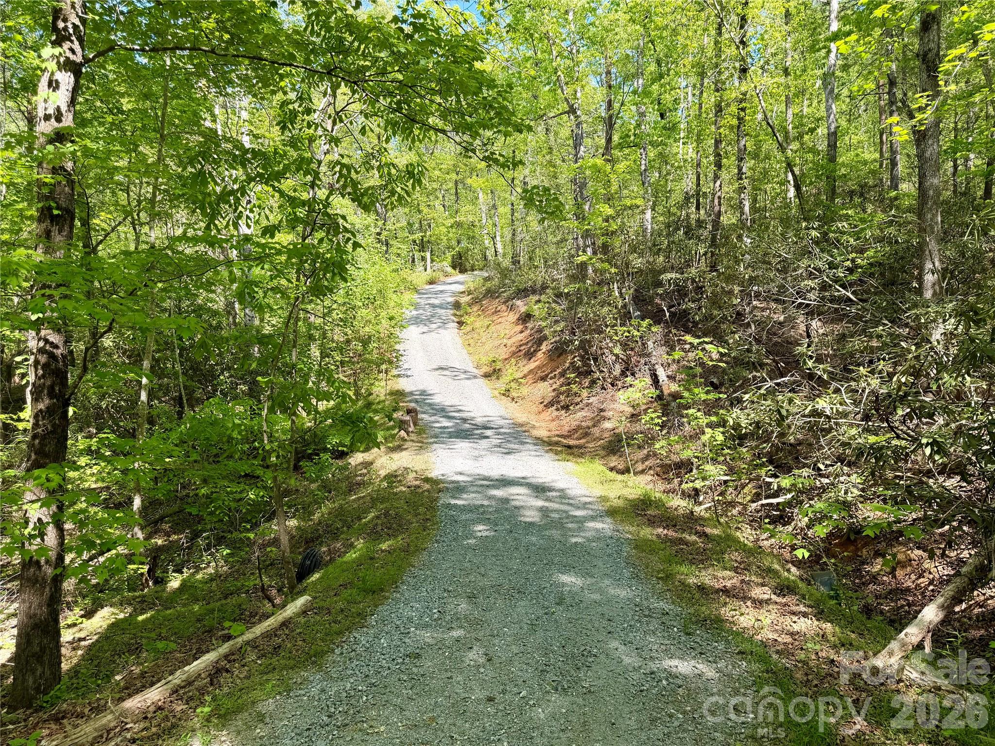 81 Delind Drive Mill Spring, NC 28756 - Photo 2 of 40 a view of a yard with a tree