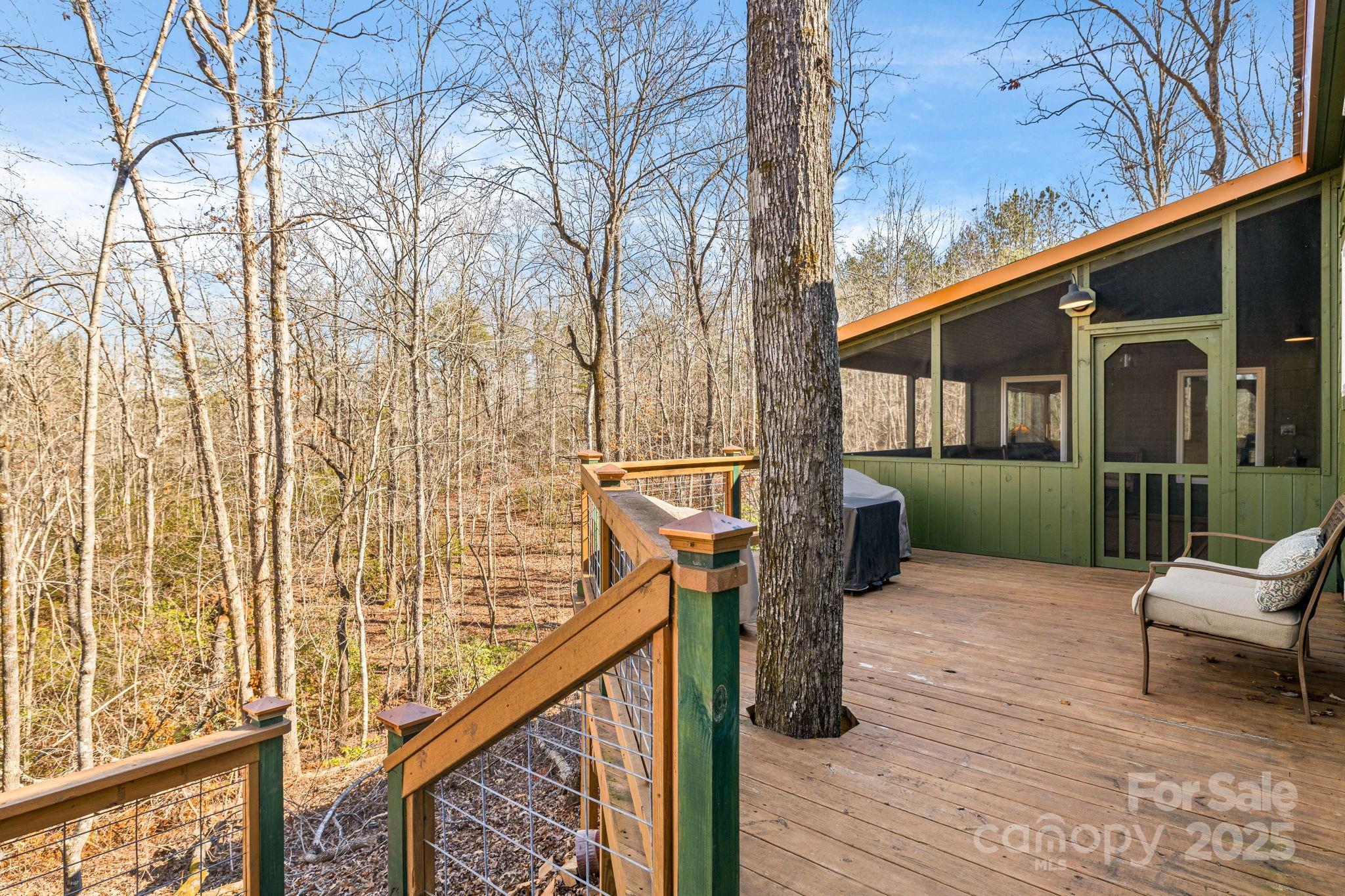 81 Delind Drive Mill Spring, NC 28756 - Photo 30 of 40