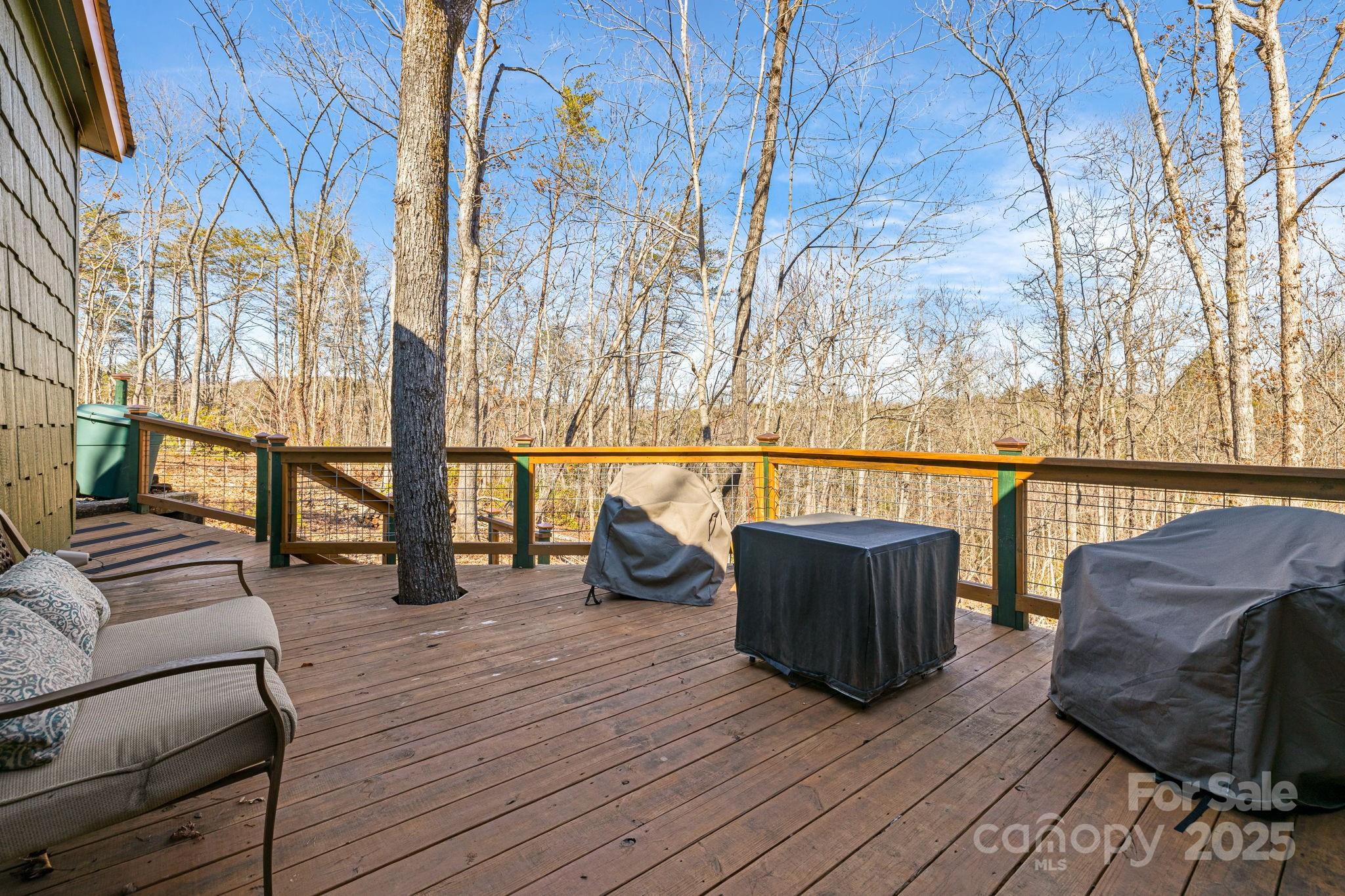 81 Delind Drive Mill Spring, NC 28756 - Photo 32 of 40 a roof deck with couches and wooden floor