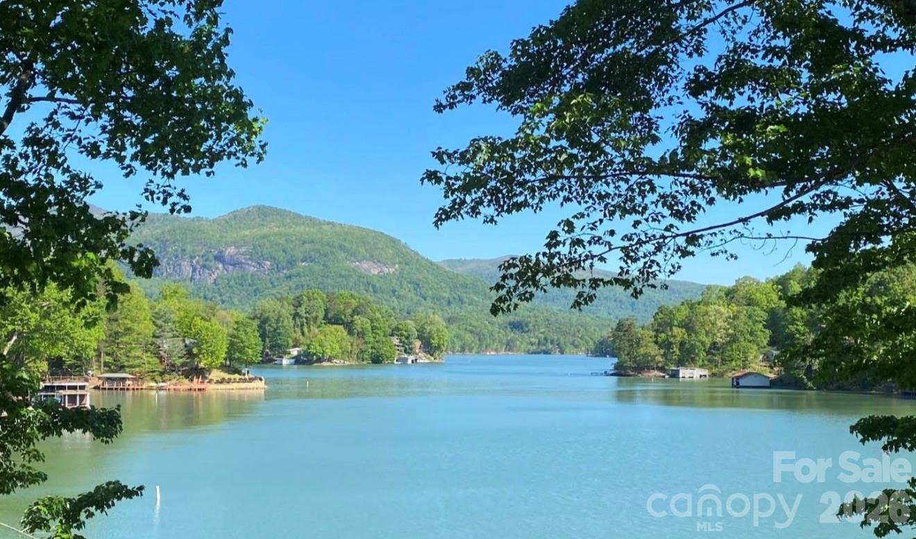 81 Delind Drive Mill Spring, NC 28756 - Photo 4 of 40 a view of lake background with houses