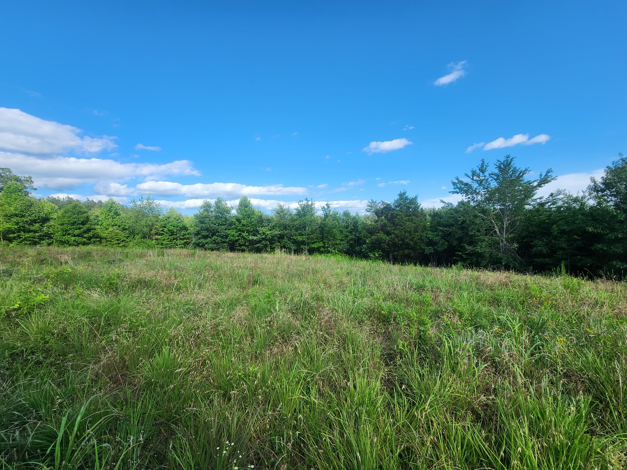 0 Sinking Creek Road Linden, TN 37096 - Photo 16 of 23