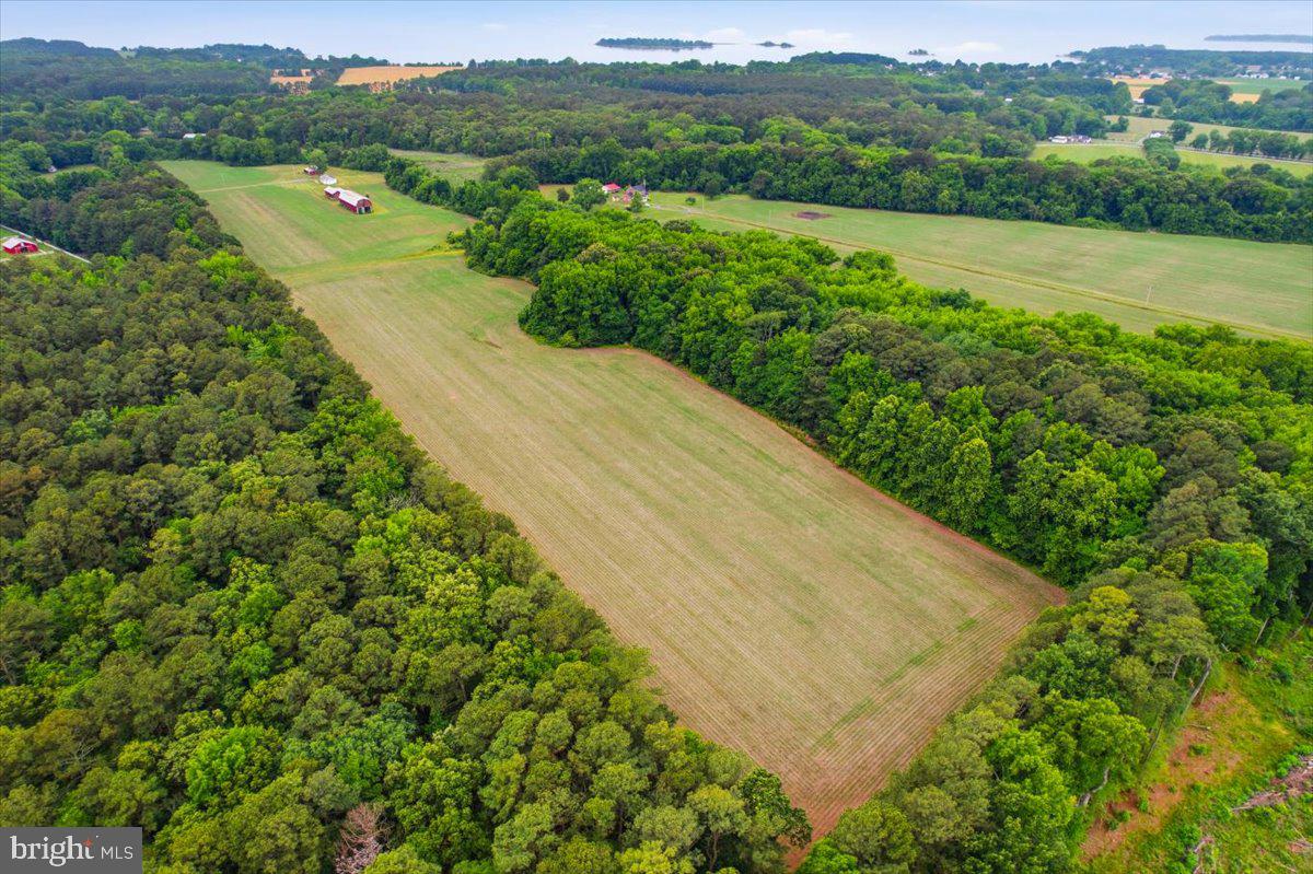 38125 Louis Thomas Road Avenue, MD 20609 - Photo 55 of 73 AERIAL VIEW OF PROPERTY