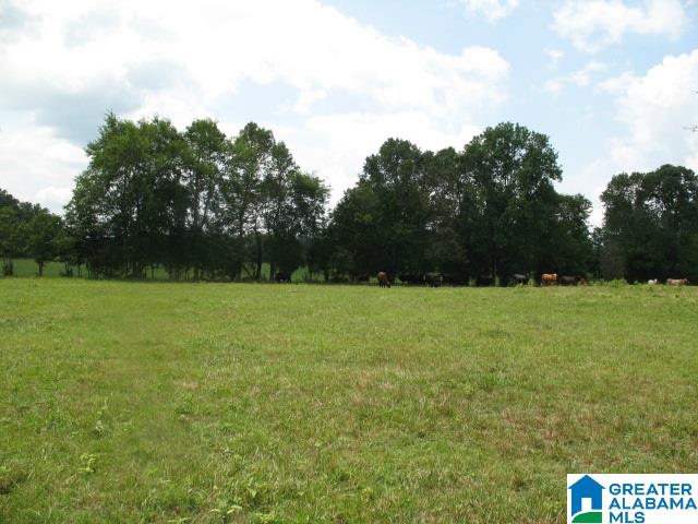 1717 Steele Station Road, Unit 1 Steele, AL 35987 - Photo 1 of 11