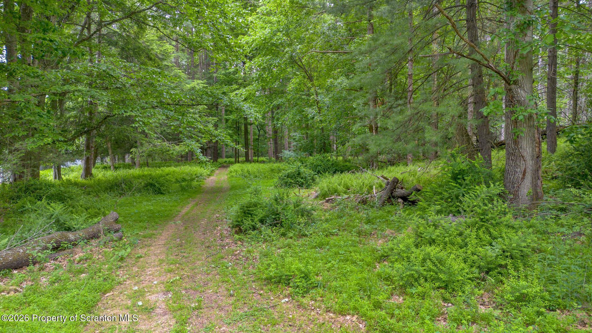 39 Golf Course Road Dallas, PA 18612 - Photo 76 of 111 DJI_0026-2