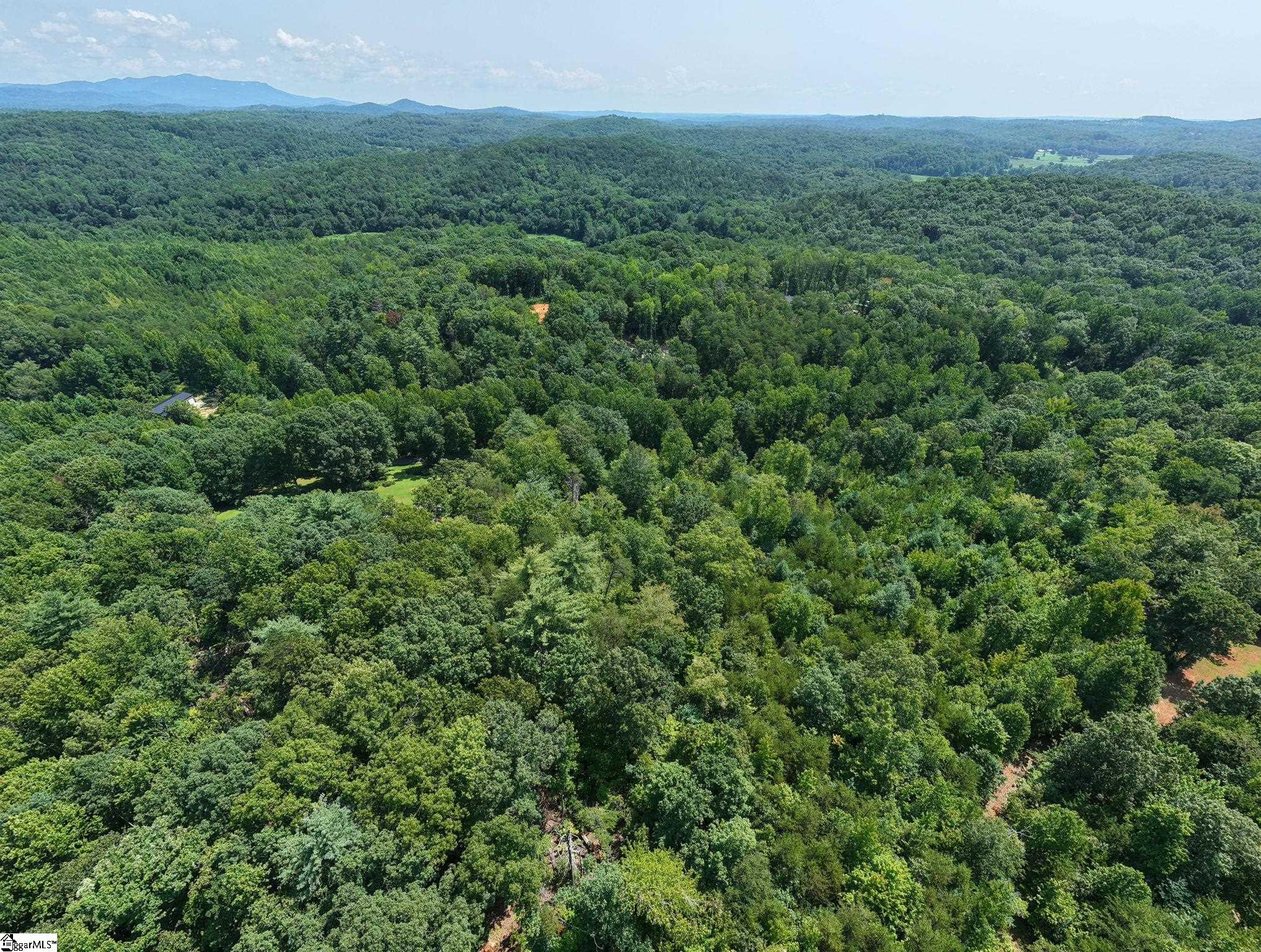 Lot 2 Hannon Road Marietta, SC 29661 - Photo 8 of 16 Gallery Image 8
