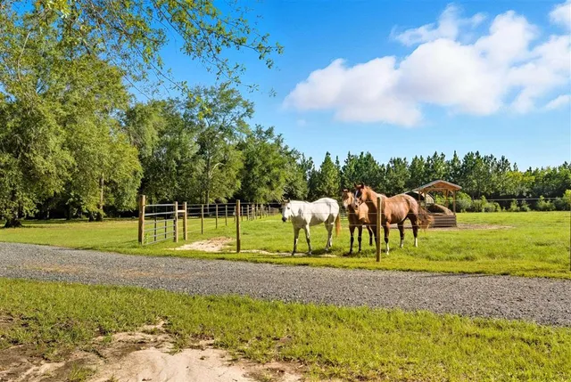 $595,000 | 405 Dove Lane, Leesville, LA 71446