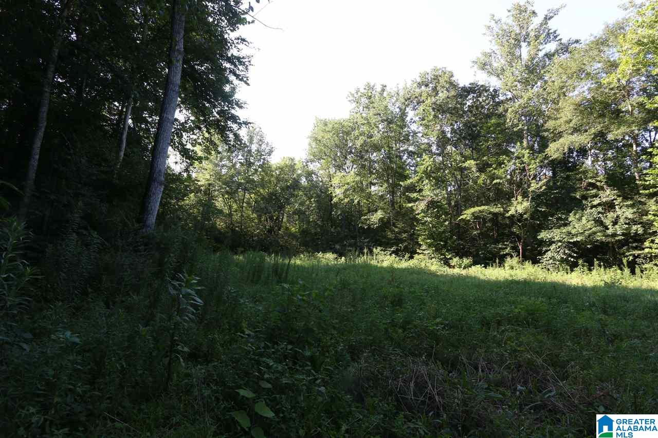 0 Carnes Chapel Road, Unit 113 Gallant, AL 35972 - Photo 29 of 32