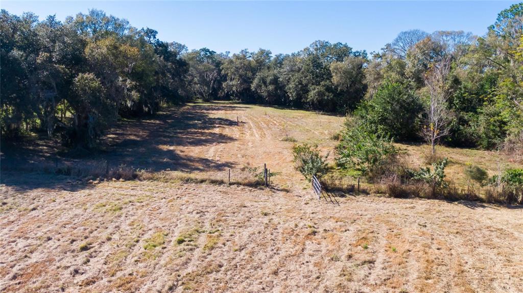 South Forbes Road Dover, FL 33527 - Photo 11 of 17