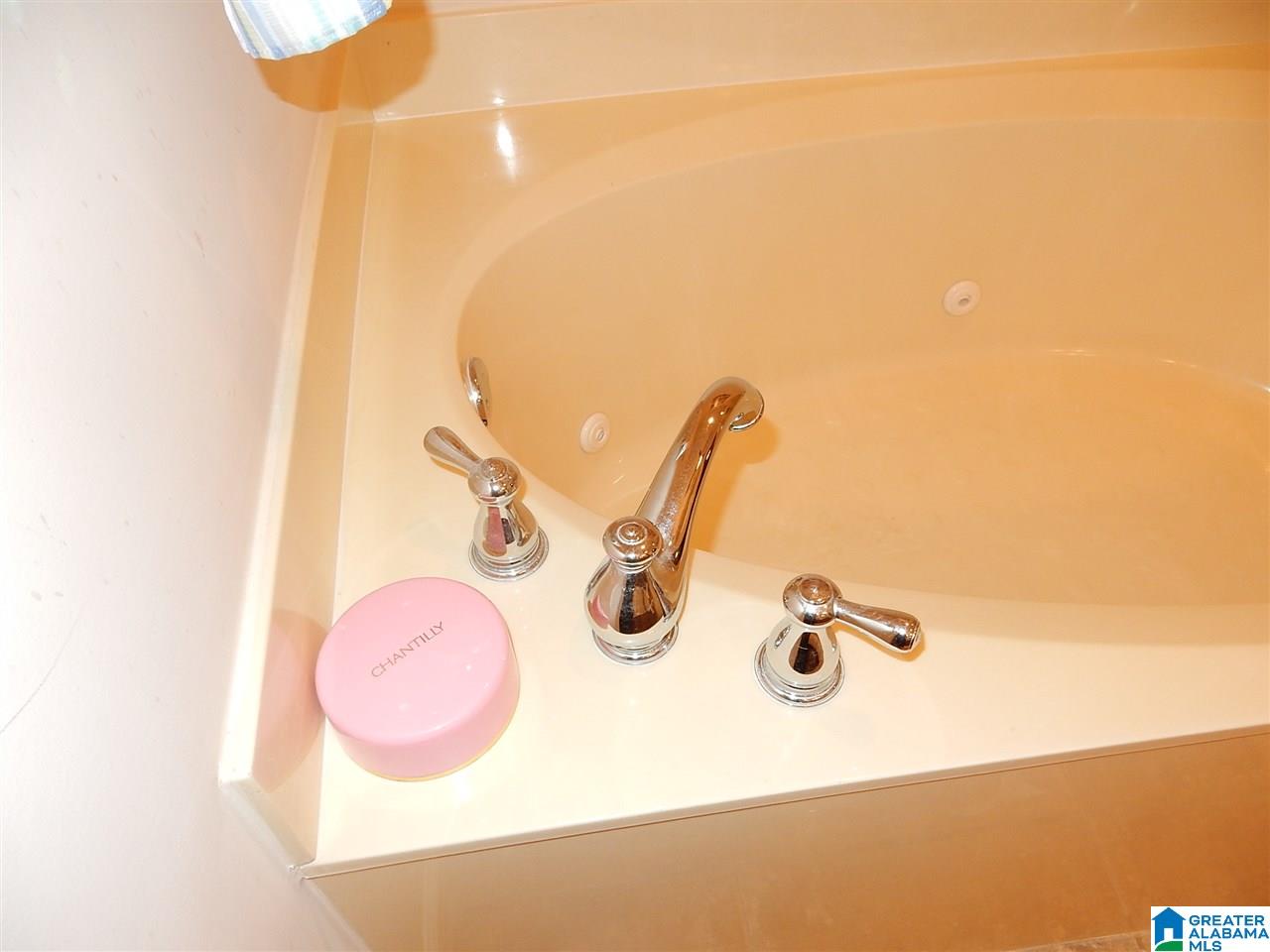 510 Rosebury Road Helena, AL 35080 - Photo 29 of 50