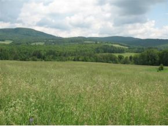4 Brookside Road Kirby, VT 05851 - Photo 2 of 10 Gallery Image 2
