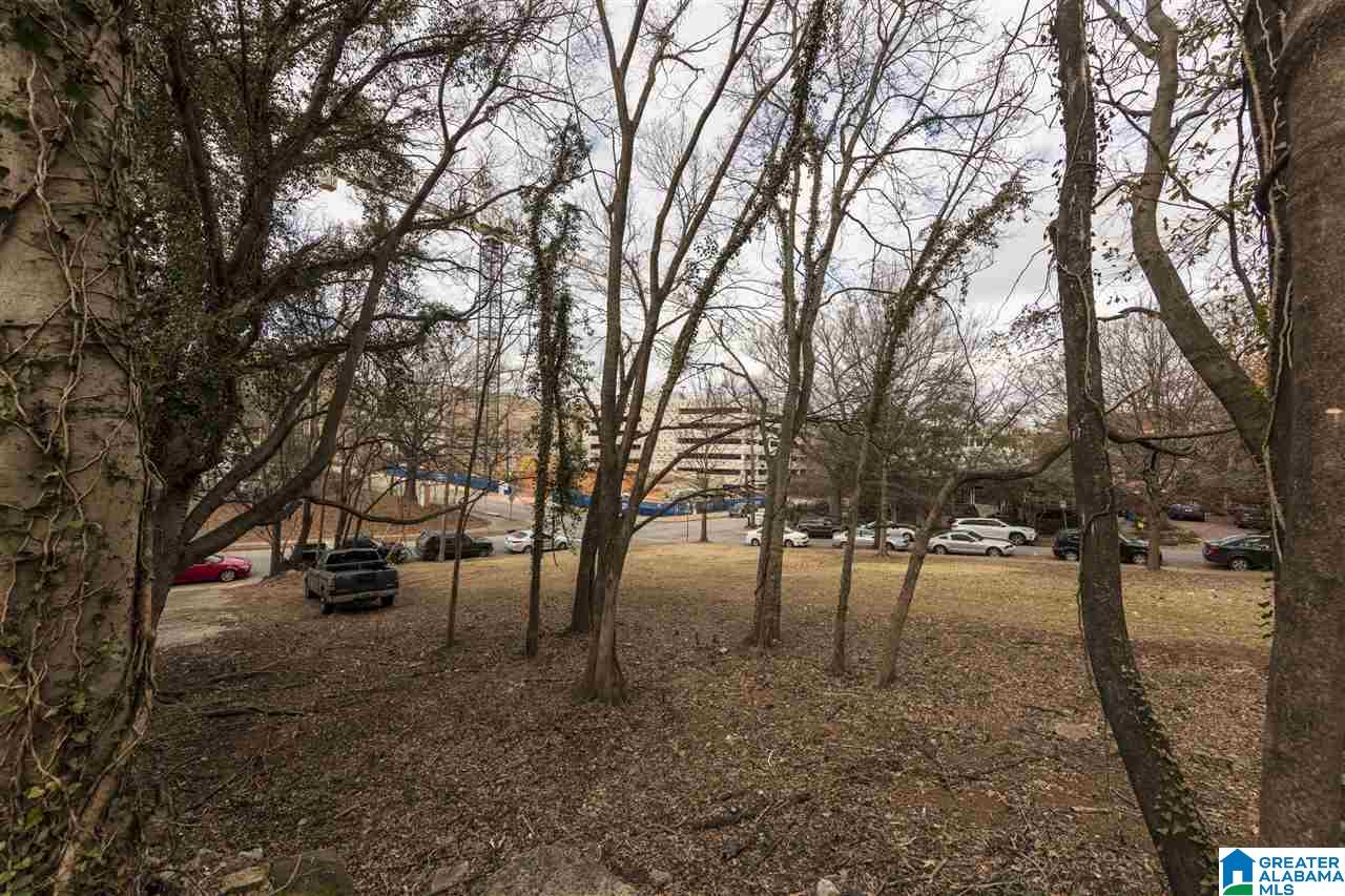 1009 28th Street South Birmingham, AL 35205 - Photo 36 of 38