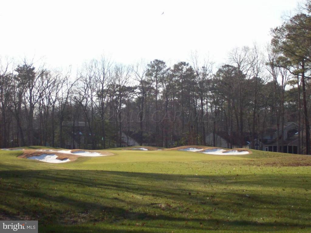 59 Drawbridge Road Ocean Pines, MD 21811 - Photo 4 of 6