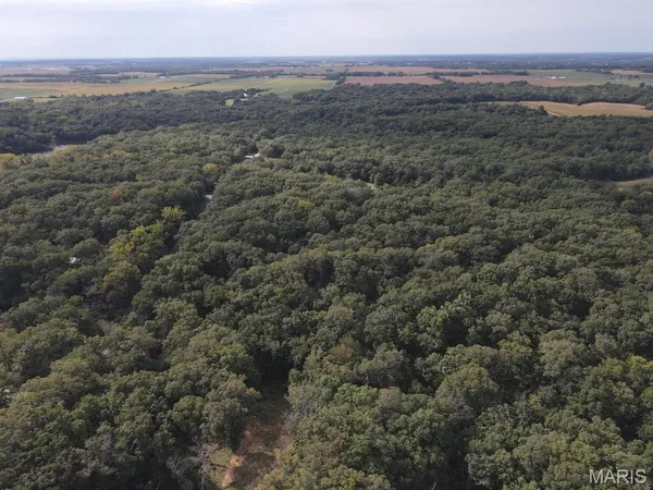 $865,000 | 28148 Commanche Trail, Canton, MO 63435