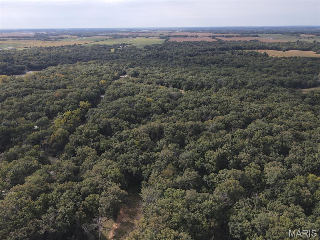 28148 Commanche Trail Canton, MO 63435 - Photo 17 of 93