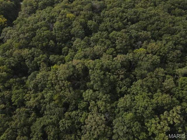 $865,000 | 28148 Commanche Trail, Canton, MO 63435