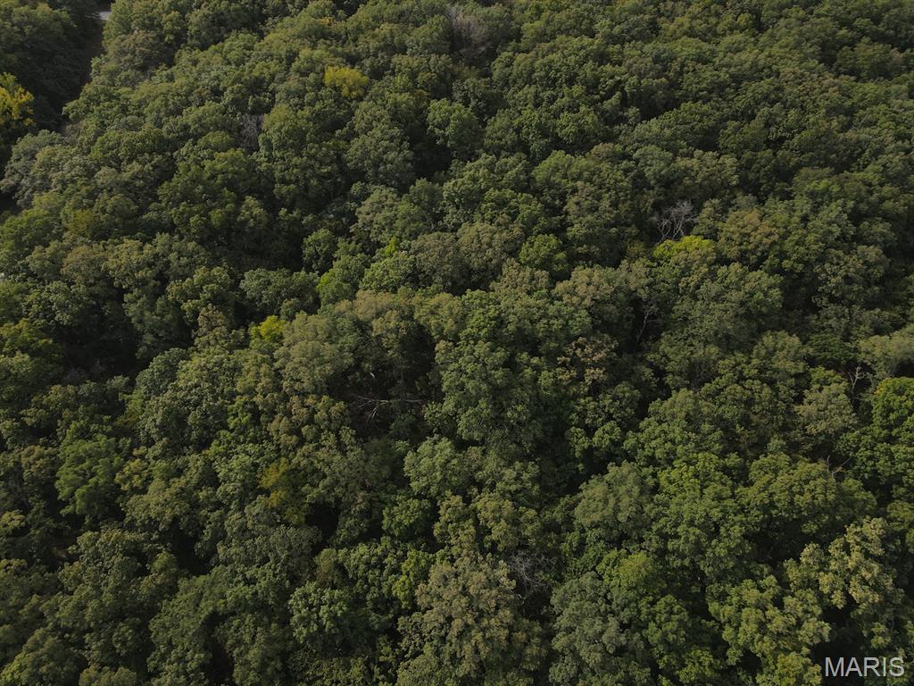 28148 Commanche Trail Canton, MO 63435 - Photo 18 of 93