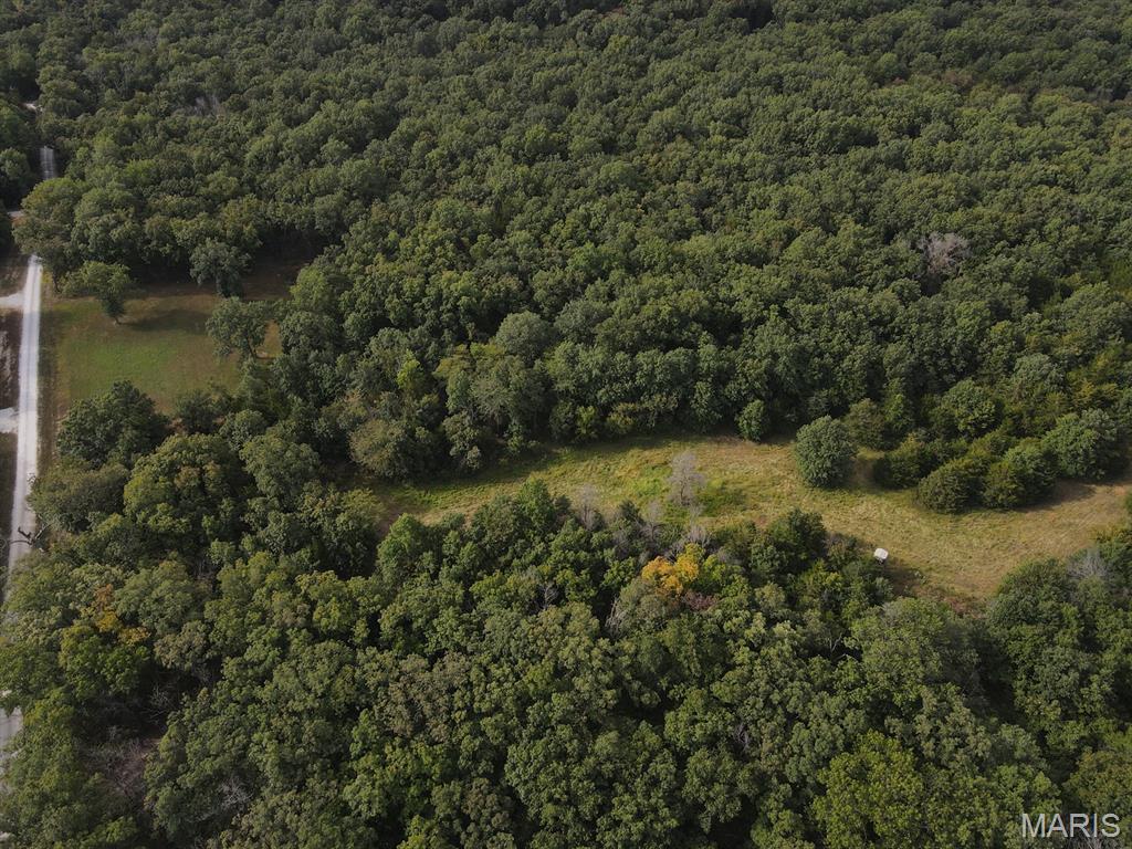 28148 Commanche Trail Canton, MO 63435 - Photo 19 of 93