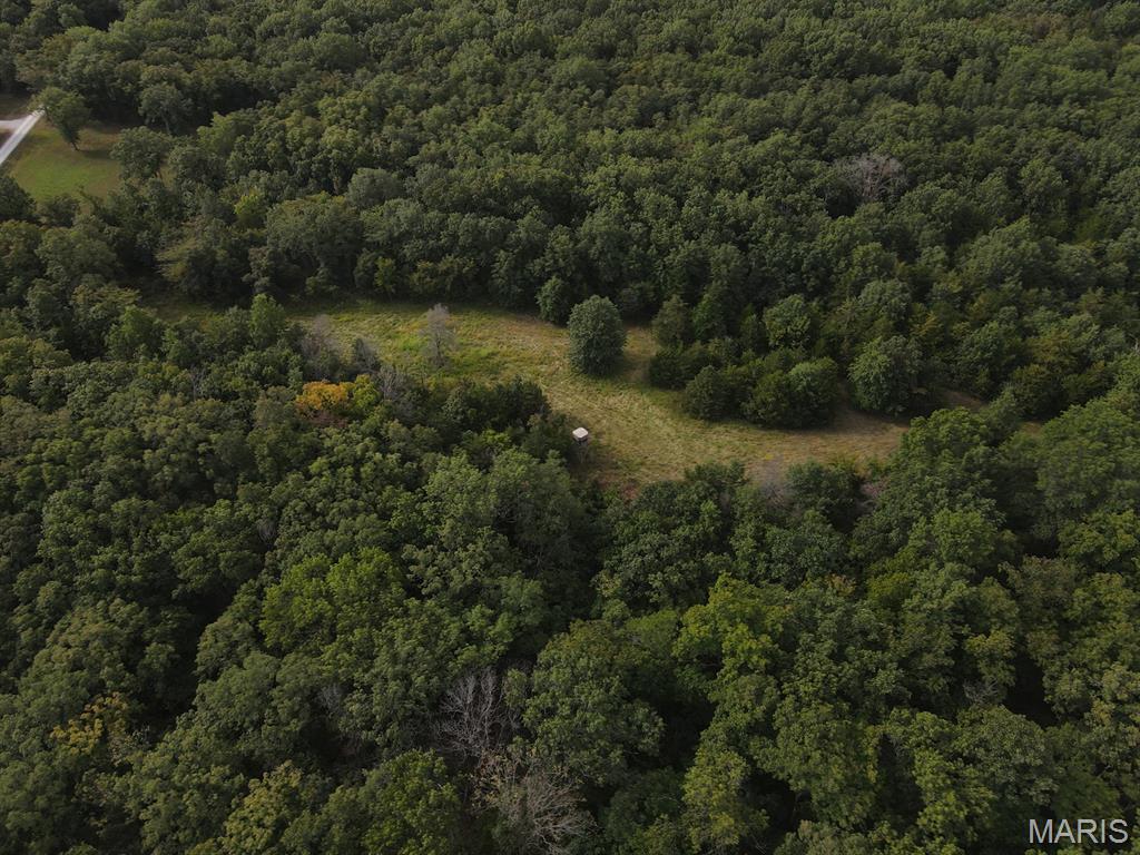 28148 Commanche Trail Canton, MO 63435 - Photo 20 of 93