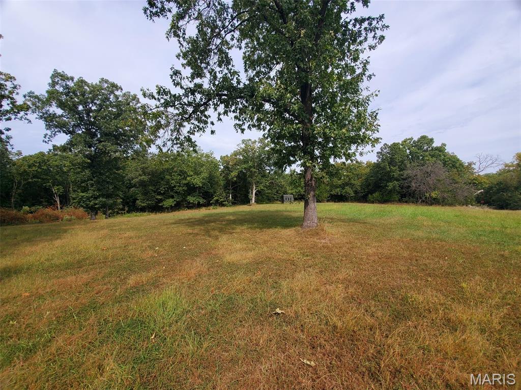 28148 Commanche Trail Canton, MO 63435 - Photo 87 of 93