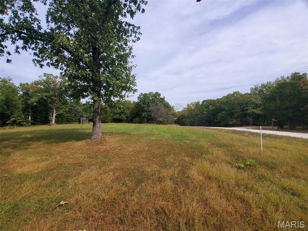 28148 Commanche Trail Canton, MO 63435 - Photo 88 of 93