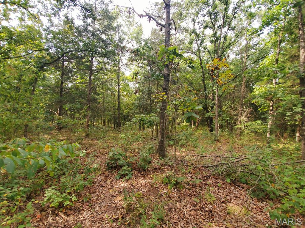 28148 Commanche Trail Canton, MO 63435 - Photo 89 of 93