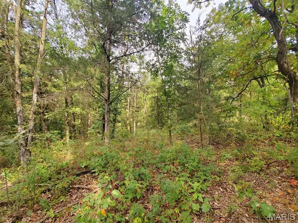 $865,000 | 28148 Commanche Trail, Canton, MO 63435